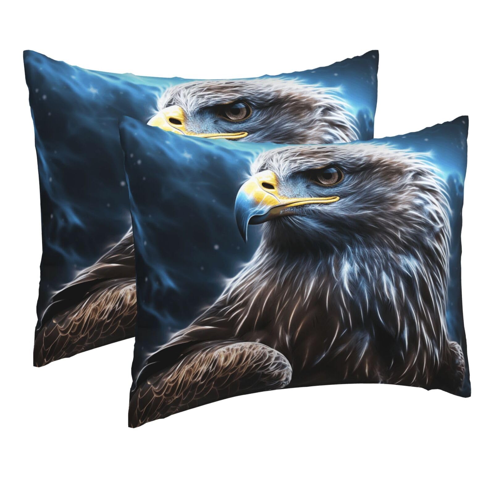2 Pack Pillow Cases with Hidden Zipper, Soft Breathable Pillow Covers for Hair and Skin, Night Sky Eagle Pillowcases 16"x20" Bed Pillow Protectors Cover for Sleeping Gifts