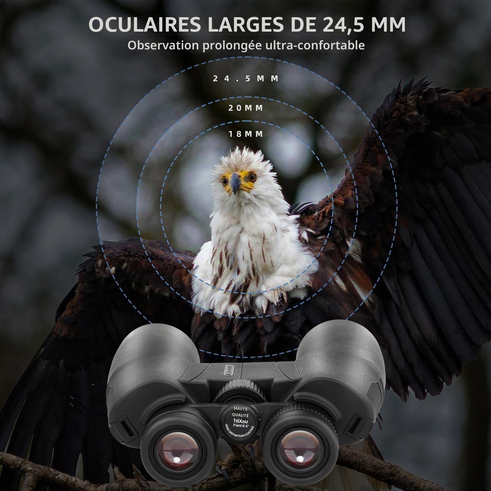 Jumelles 16x50 HD pour Adultes, Jumelles Professionnelles étanches avec prismes BaK4 et Grand Champ de Vision pour l'observation des Oiseaux et la Chasse