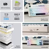 EPOMAKER AULA F75 Wireless Mechanical Gaming Keyboard, 75% Layout with Knob, Creamy Gasekt-Mount with Sound-Dampening, RGB, Hot-Swap, Bluetooth/2.4Ghz (Light Blue, Reaper Switch) - 3