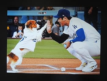 Amazon.co.jp: A4 額付き ポスター 大谷翔平 デコピン 始球式