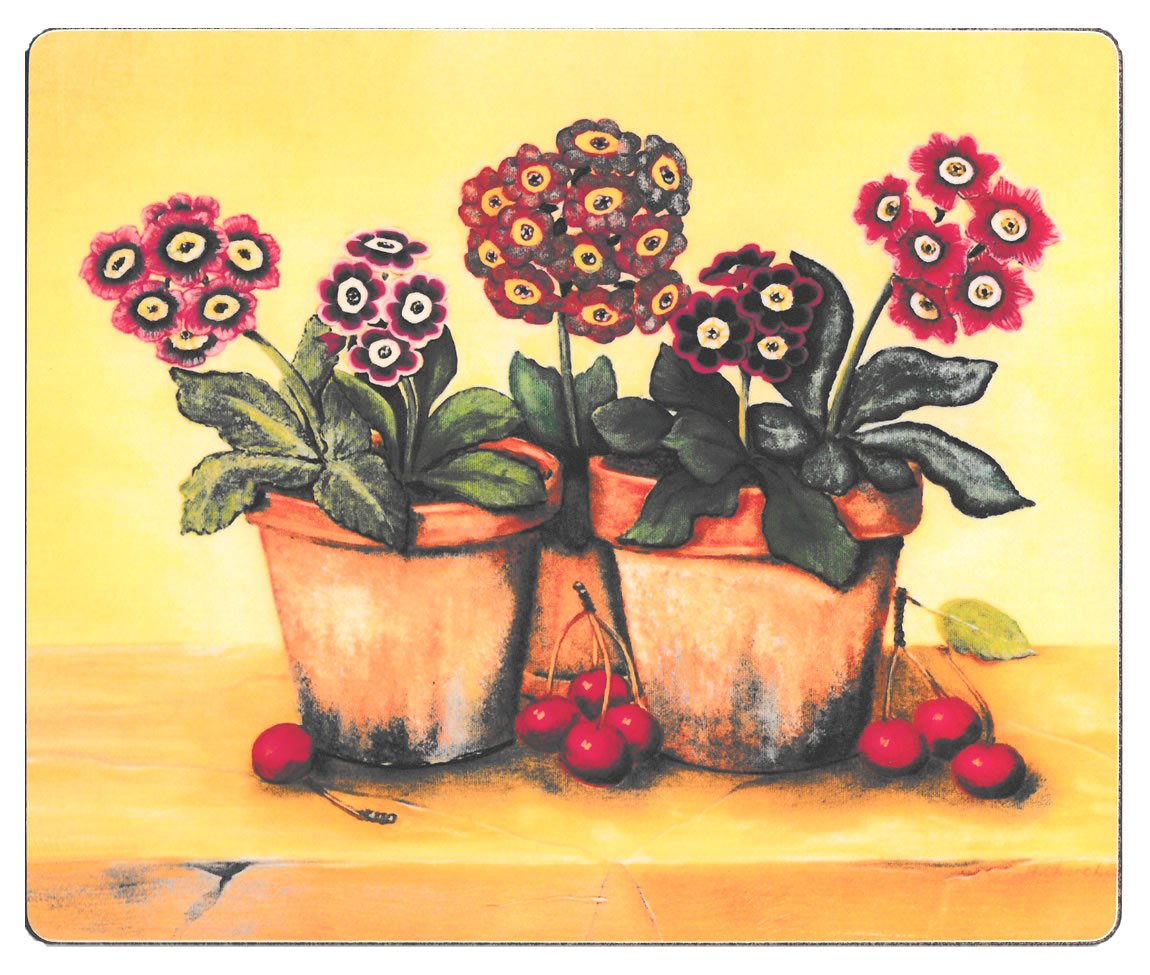 Green Lady Clare Melamine Tablemats Auriculas