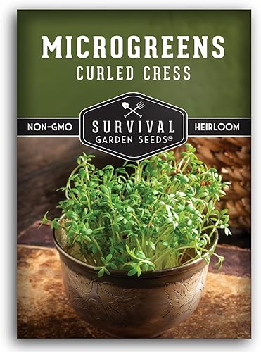 Semillas de microgreens de berro rizado para brotar y cultivar 1 paquete brotan microvegetales de hoja verde en interiores Cultiva un mini jardín