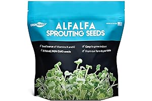 Certified Organic | Locally Grown Alfalfa Sprouts Seeds