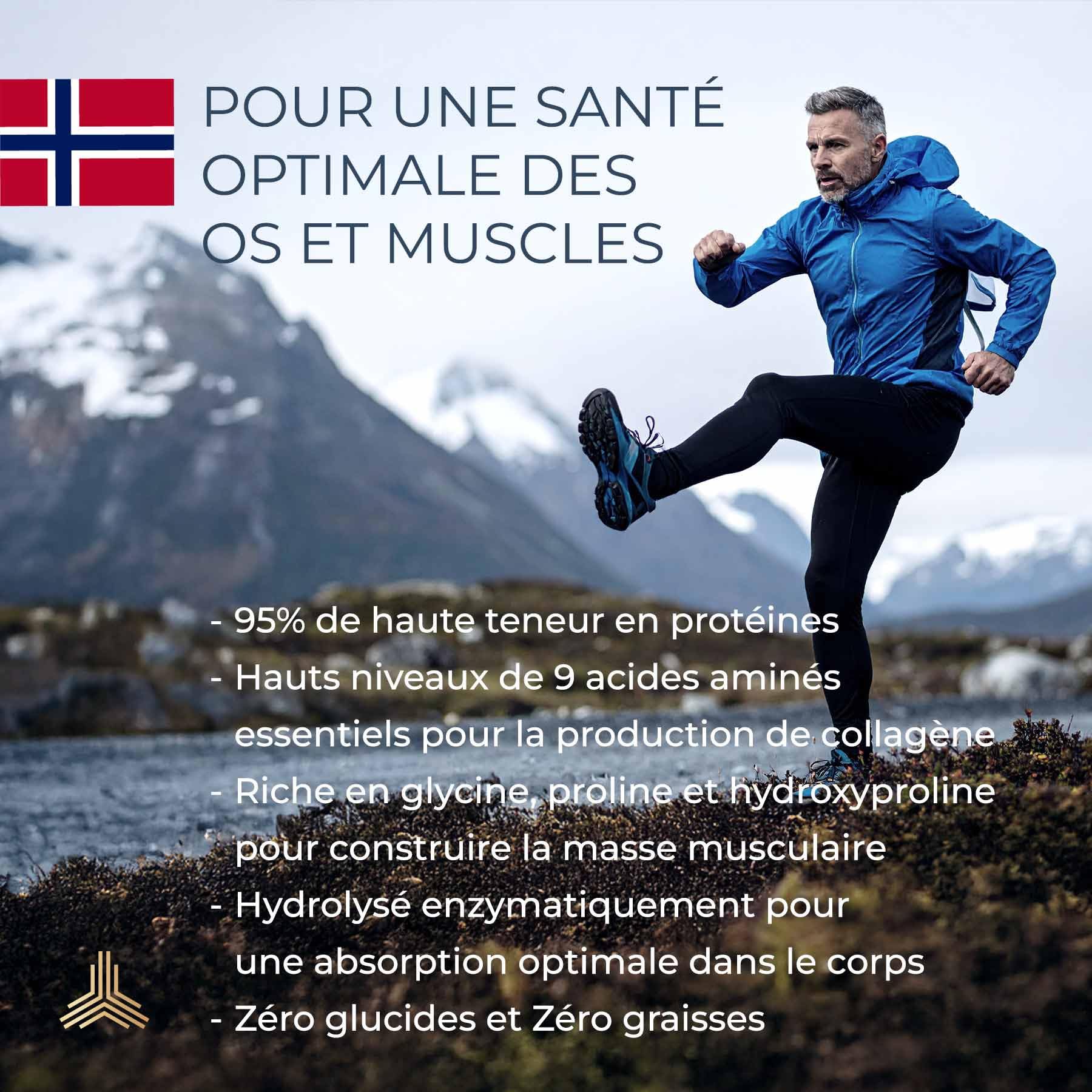 Nutriments Nordiques Collagène Marin Sauvage | Type I | 95% de Protéines | Pour les Articulations, les Muscles et les Os | Peau, Cheveux et Ongles | Cliniquement Testé | 300 g (2 Mois)