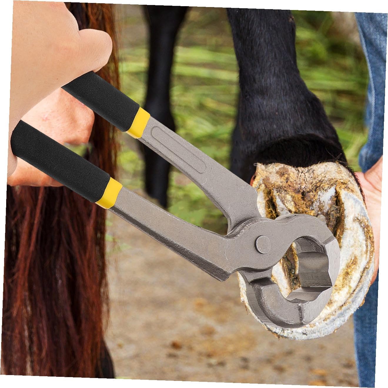Professional Cattle and Sheep Hoof Trimmer Tool Heavy-Duty Hoof Nippers for Multi-Functional Design for Easy Maintenance and Trimming
