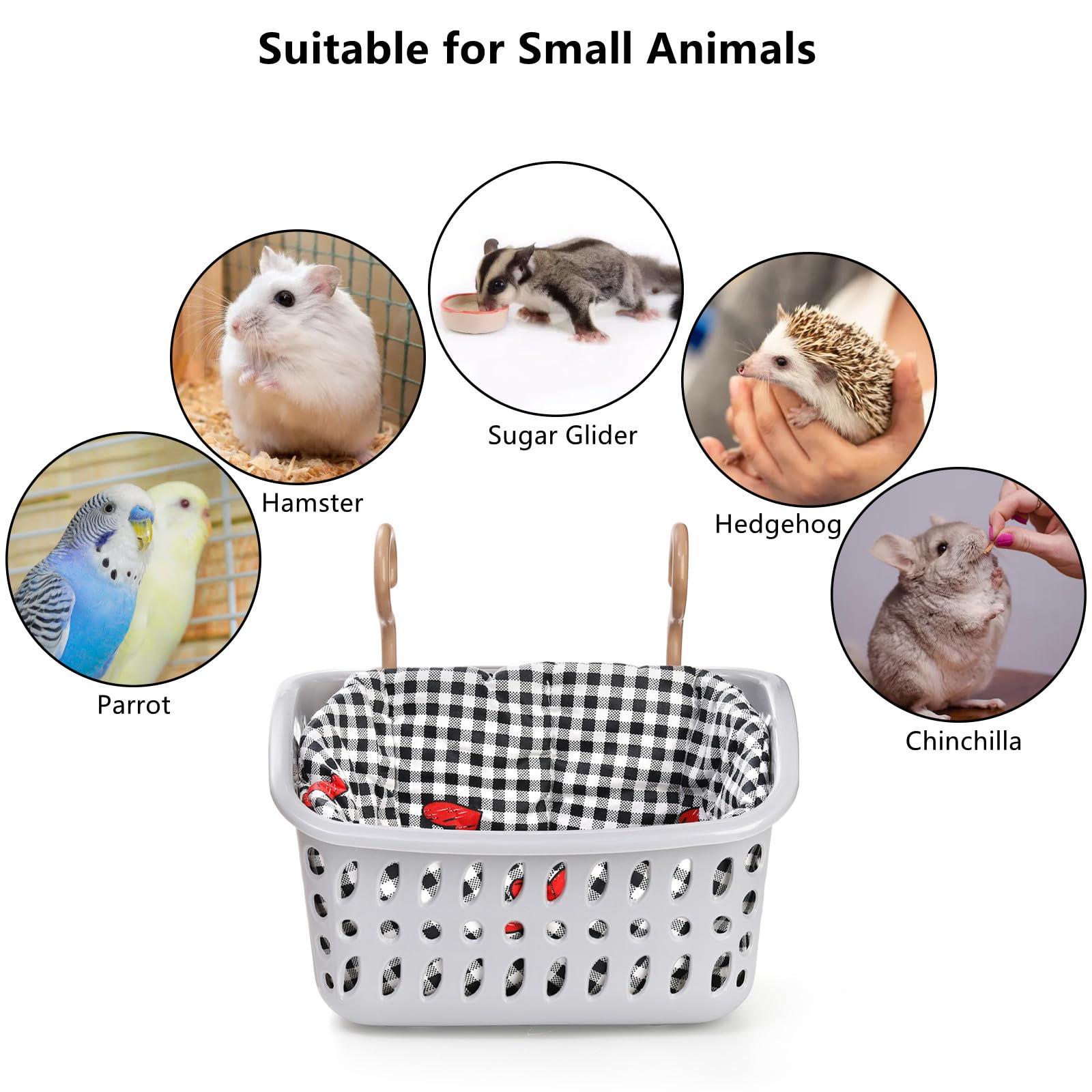 View 7