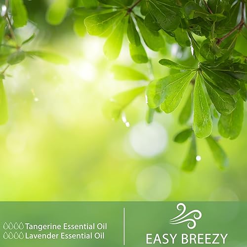 Vista 378 de PHATOIL Aceite esencial de sándalo de 3.3 fl oz, aceites esenciales puros de aromaterapia para difusor, humidificador, relajación, aceites