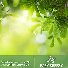 PHATOIL 3.38FL.OZ Tangerine Essential Oil, for Aromatherapy Diffusers, Humidifiers, Great for DIY Candle and Soap Making, Huge 100ML Bottle