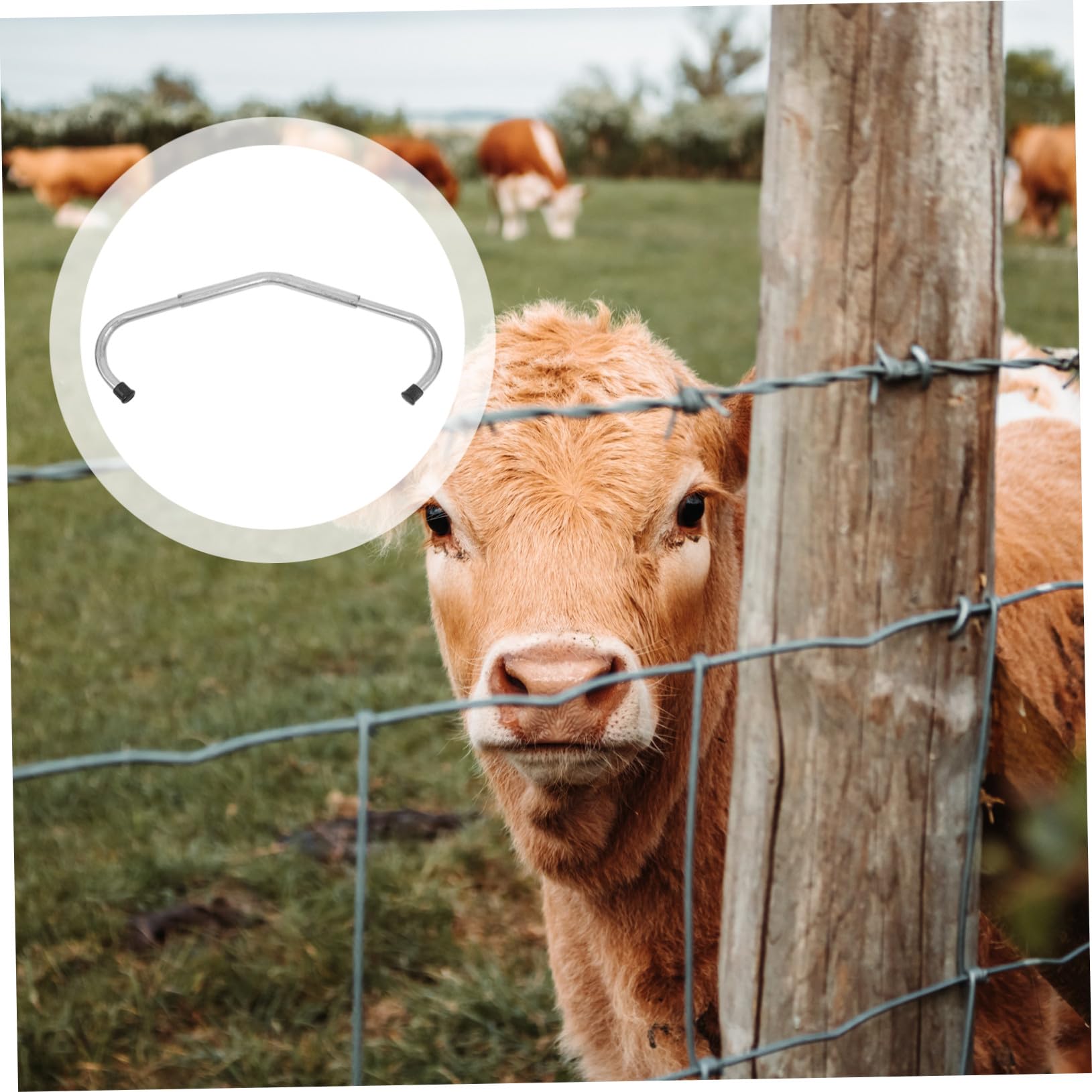 SUPVOX Varilla Galvanizada Anti-patadas Ajustable para Ganado con Almohadillas de Accesorio Resistente para Establos y Pasturas Equipo Veterinario Seguro y Duradero
