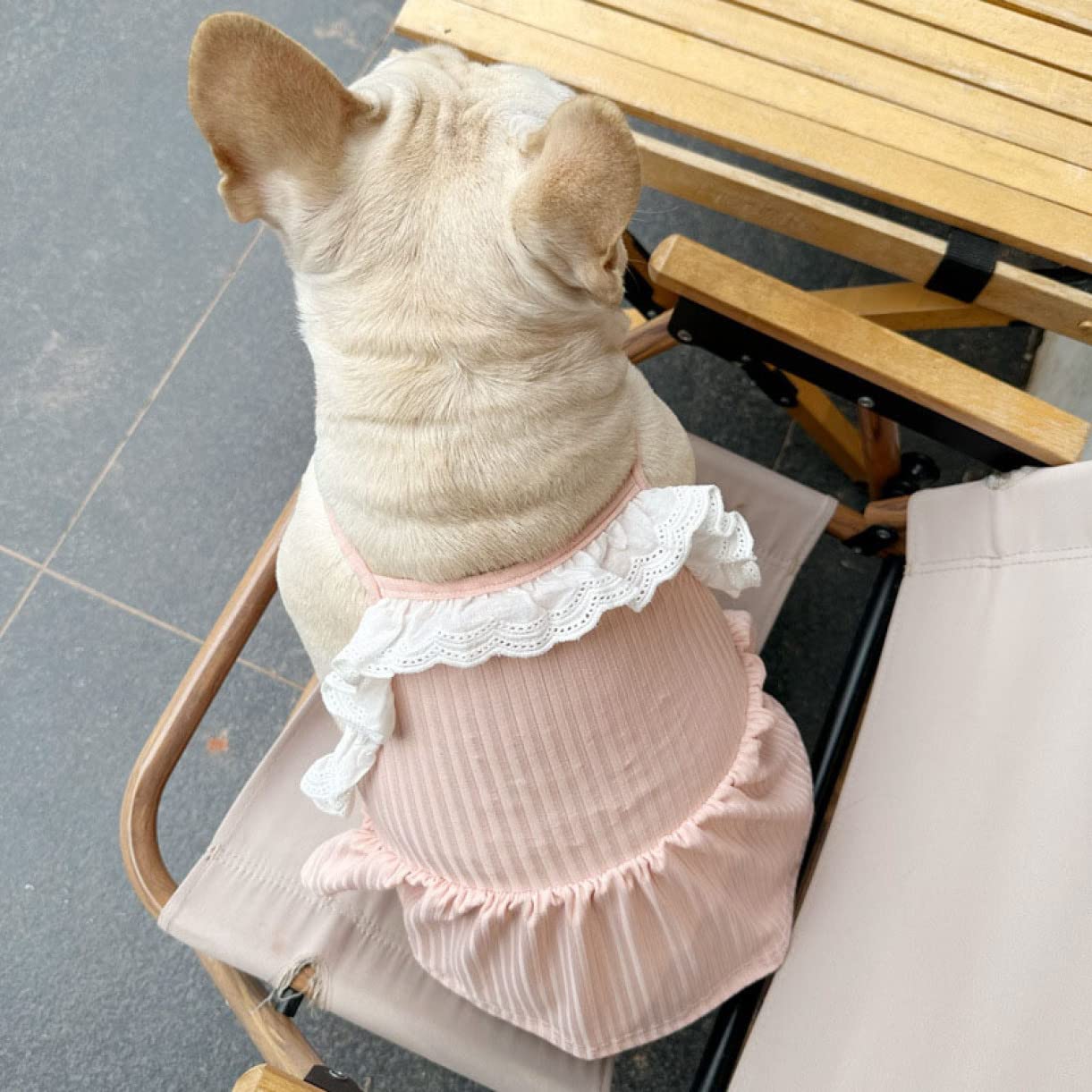 Amazon | [JUI3N] 犬服 キャミ 春夏 ピンク 女の子 ペット服 韓国