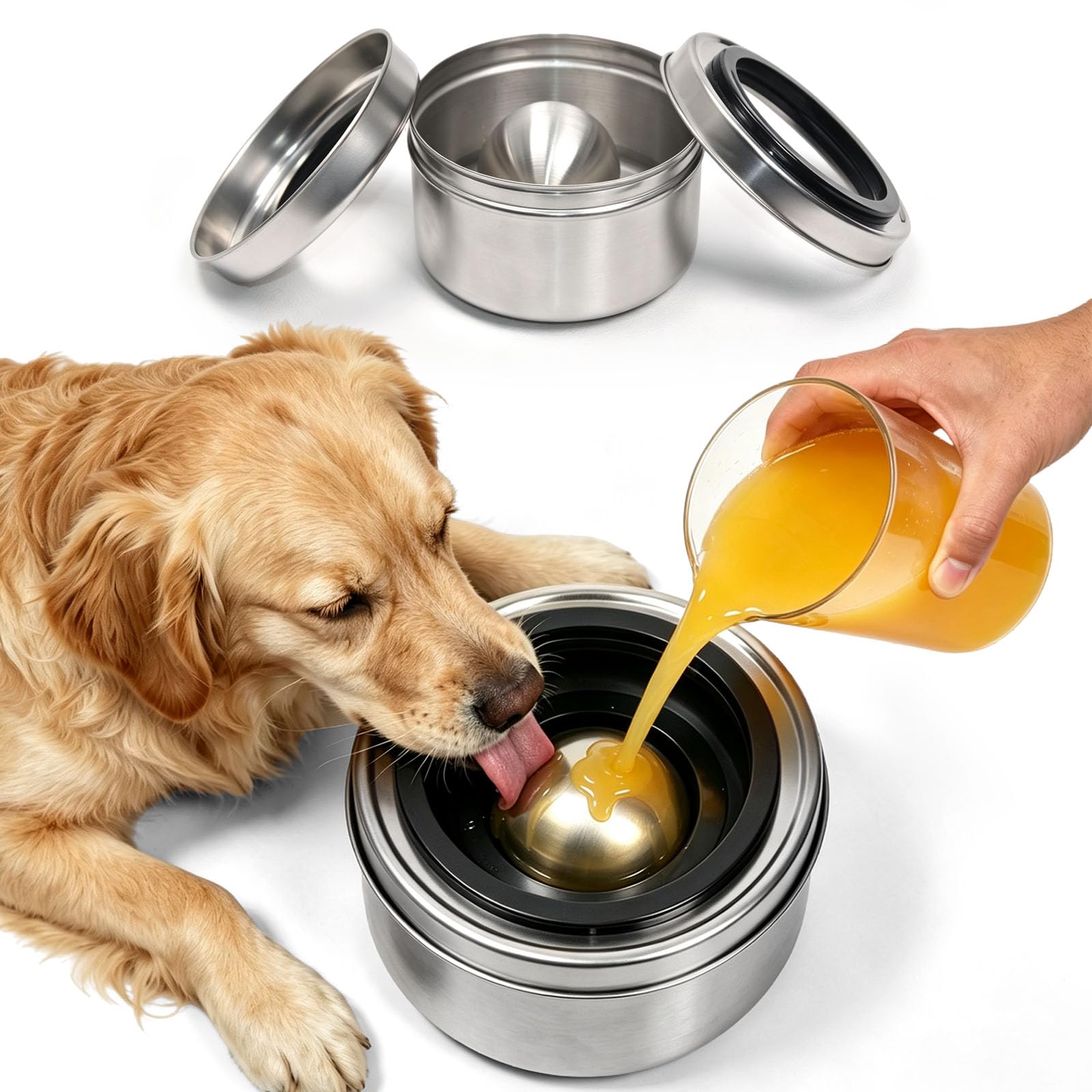 Photo 1 of APETTERCARER Slow Feeder Dog Bowl