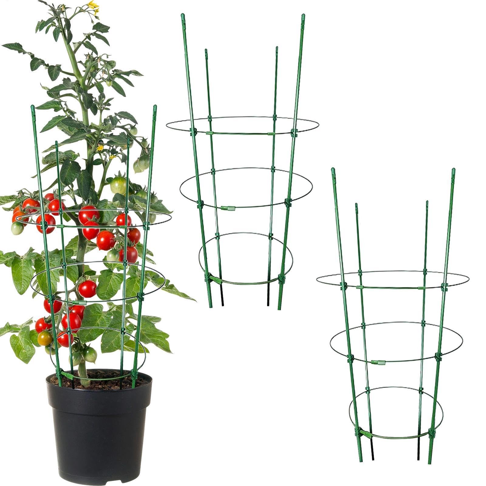 3 Pack Tomato Cages For Pots - Tomato Cages For Garden, Tomatos Plant Support, Garden Plant Stakes, Gardens Trellis For Tomatoes, Cucumbers, Vegetables, Flowers, Climbing Vines