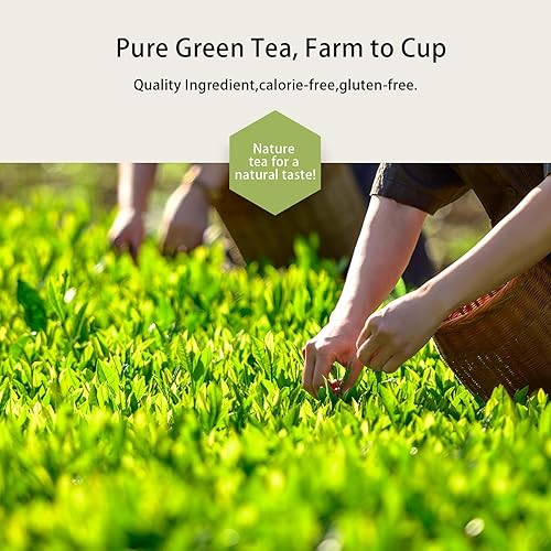 Miniatura 3 de GTGLOTRA Té verde de hoja completa, 72 bolsas de té piramidales (paquete de 12), fácil preparación, 100% natural, té biodegradable de hoja pura,