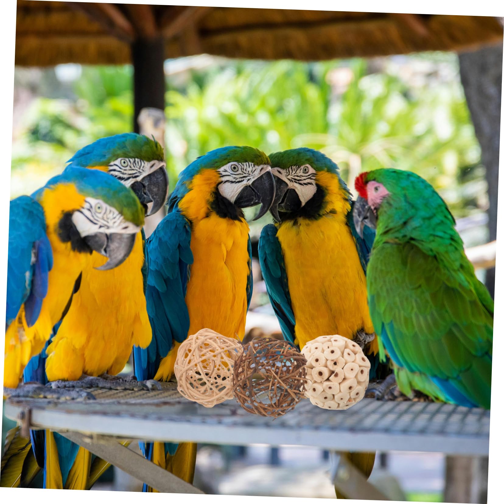 Toddmomy 36pièces Jouets à Mâcher pour Oiseaux De Balles à pour Perroquets Cages Et Petits Animaux Jouets Rotin Et pour Oiseaux De Compagnie