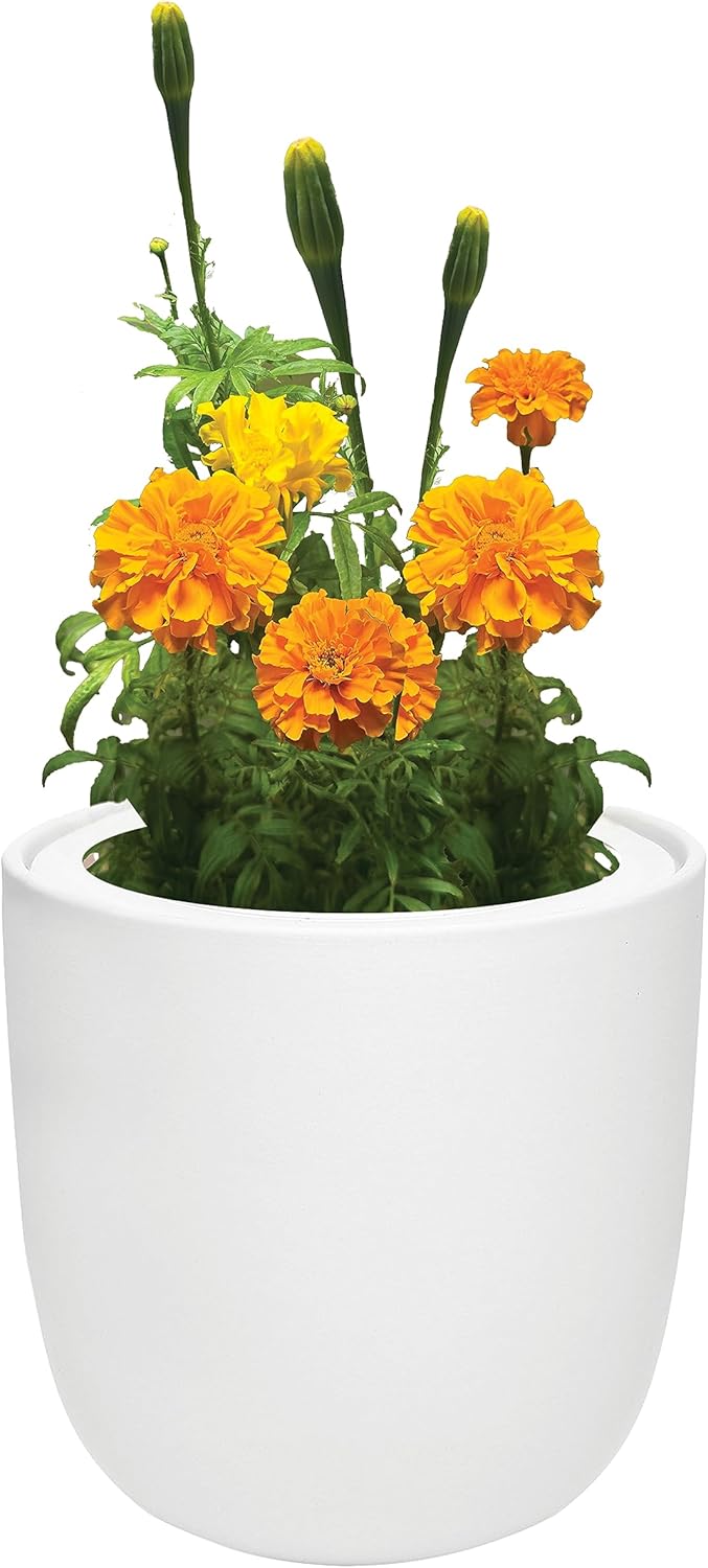 Hydroponic Growing Kit, Self-Watering Garden Starter Kit with White Ceramic Pot and Seeds, (Marigold)