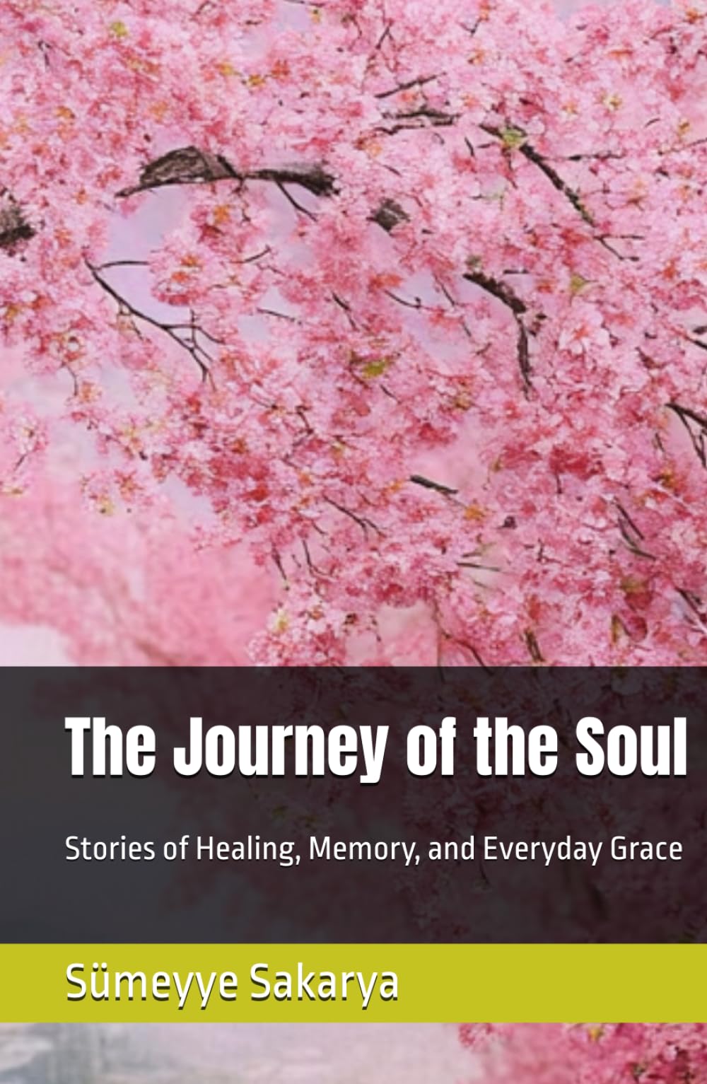 The Journey of the Soul: Stories of Healing, Memory, and Everyday Grace
