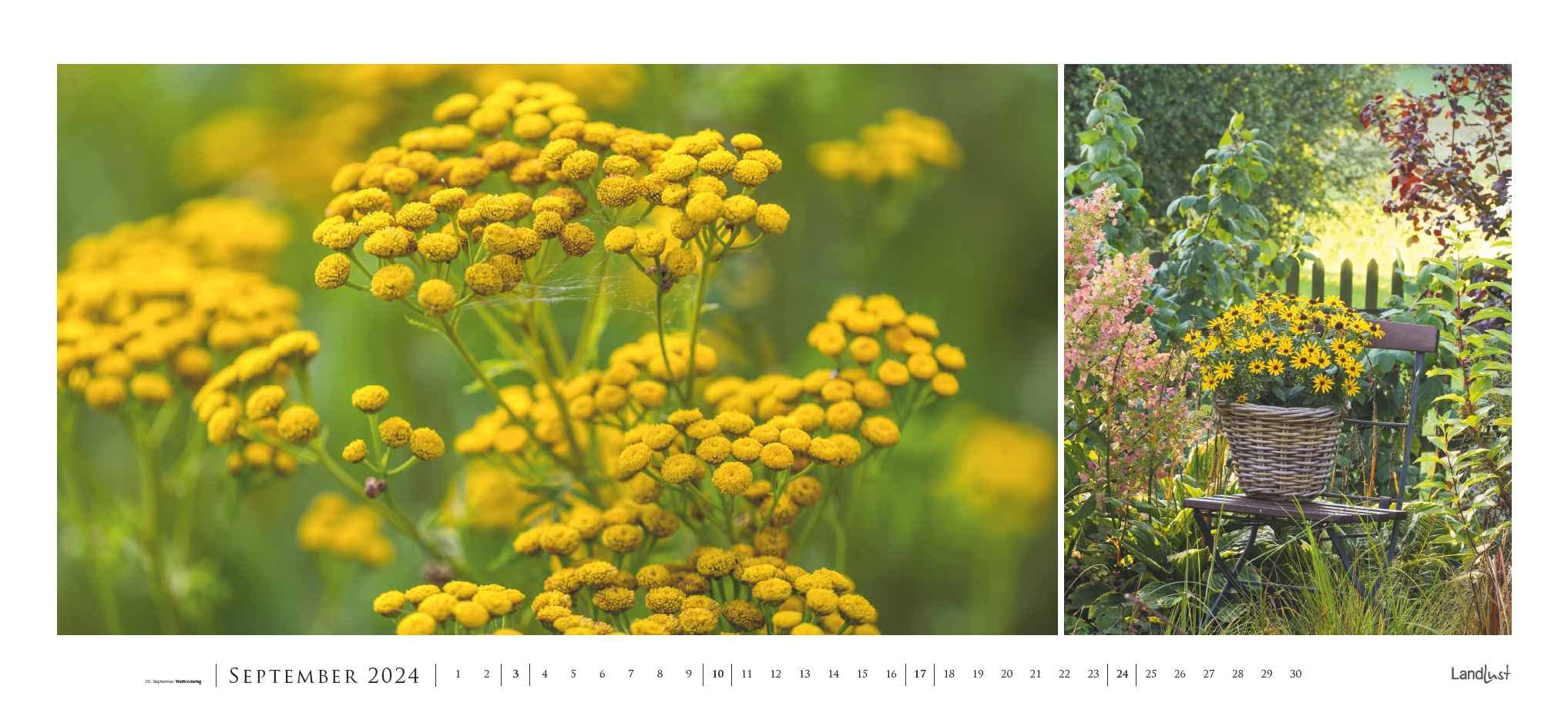 Landlust Panorama: Garten-Kontraste 2024 Wand-Kalender - Panorama-Kalender - Fotografie - Gartenkalender 110x50