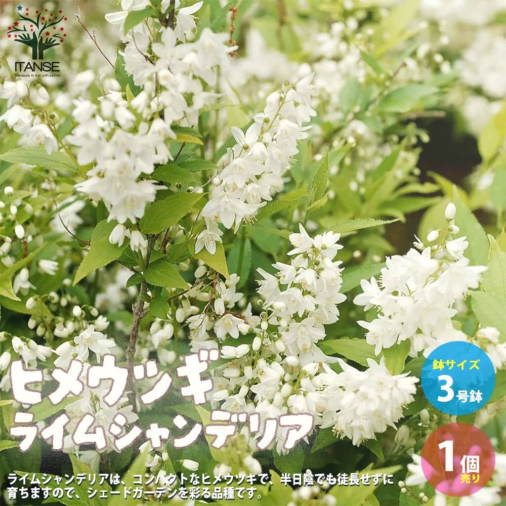 花の形状 シャンデリア ホワイト グリーン 小型1灯 – kokocharm-shop