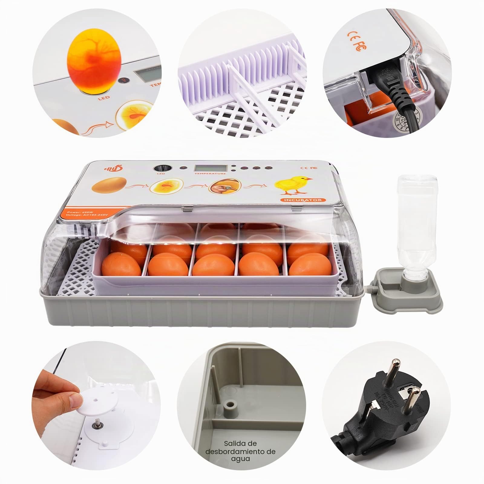 Incubadora Automática para 20 Huevos, Incubadora Huevos Codorniz con Rotación Automática y Control de Temperatura, Pantalla LED Digital para Gallinas, Patos, Gansos, Palomas, Codornices