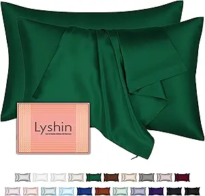 Mulberry Silk Pillow Cases 2 Pack Standard Size 20x26 Inches with Hidden Zipper, Ultra Smooth and Soft Breathable Cooling Silk Satin Pillowcase Set of 2, Better for Hair and Skin, Gifts for Women Men