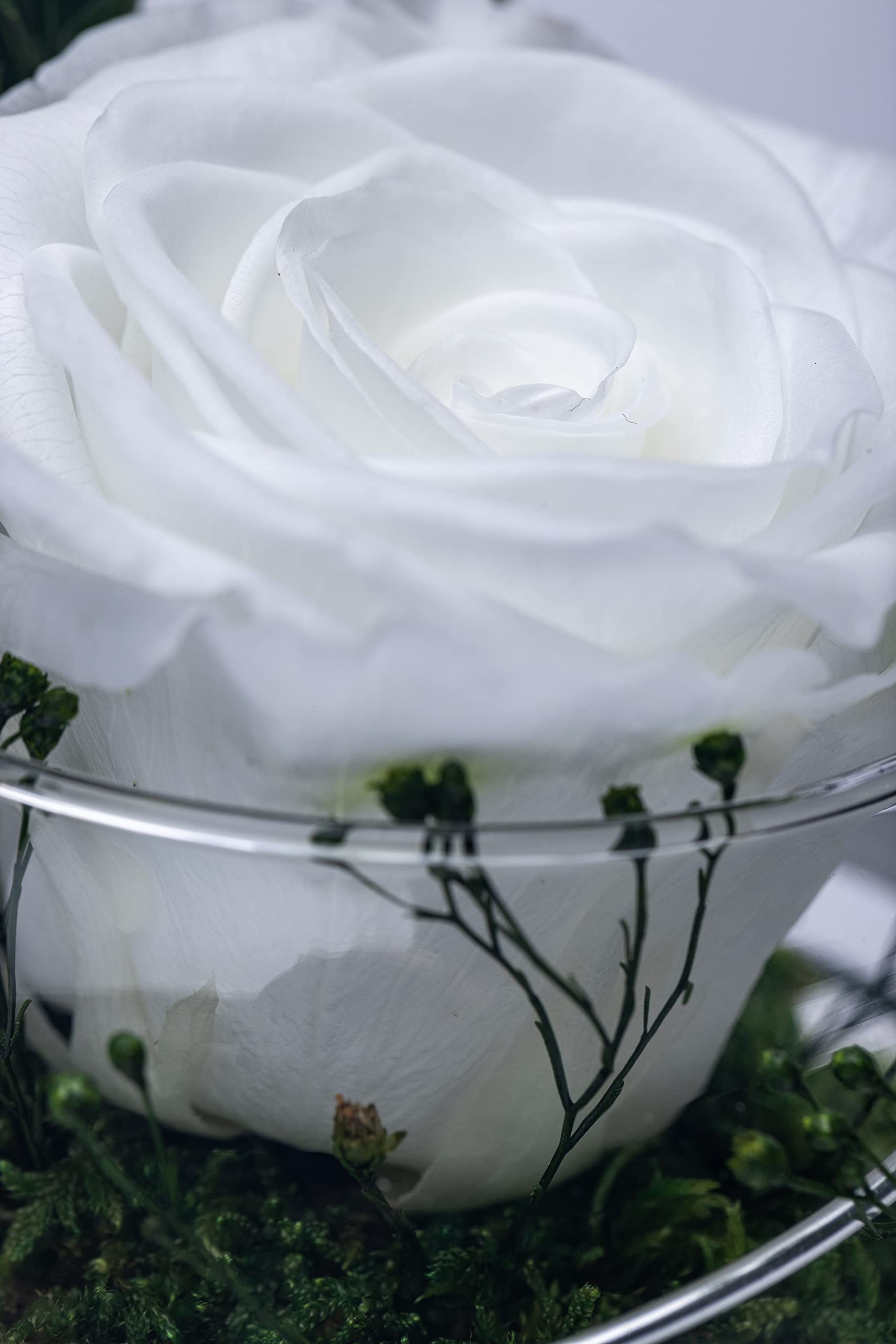 Regalo Per Statua Di Angelo Rosa In Vetro Per Mamma Nonna Femminile Rosa Eterna Come Regalo Per Angelo Per La Festa Della Mamma Regalo Mamma Regalo Per Signore Regalo Anniversario 2024 Nuovo