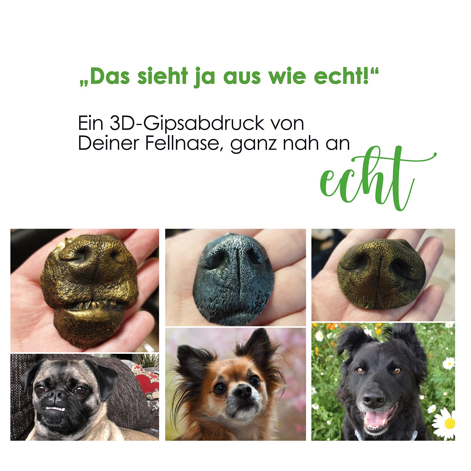 Gipsabdruck Set Hundepfote und Hundenase. 3D Abdruck-Set Hund und Katze für Pfote und Schnauze, wiederverwendbare Gießform, Deutsche Herstellung, Pfotengröße XS bis M