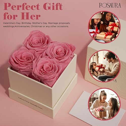Miniatura 6 de Rosaura Caja de regalo de 4 piezas de rosas y flores eternas preservadas, rosas reales para siempre, flores preservadas para Navidad, día de San