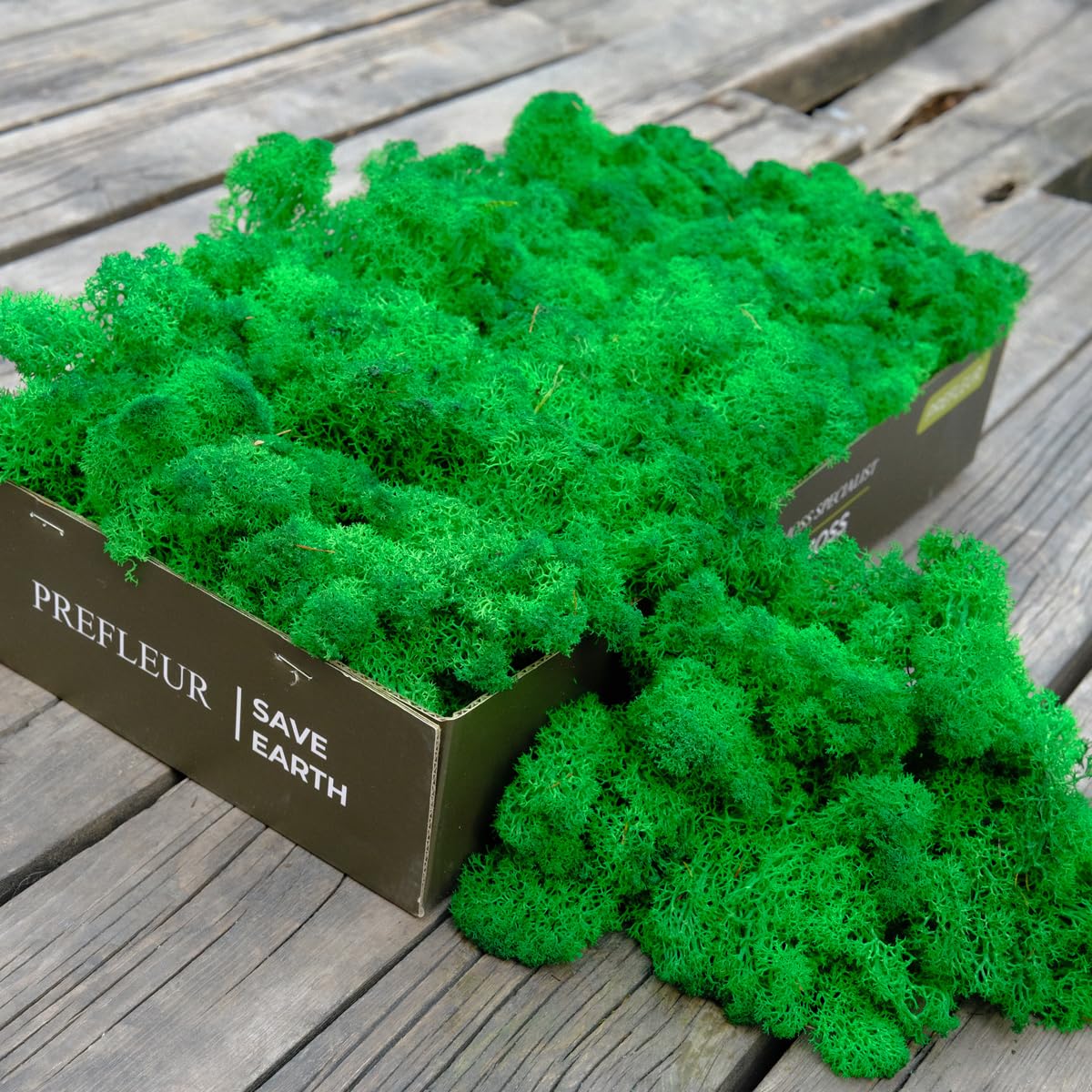 Prefleur Preserved Reindeer Craft Moss Natural Green DIY Kit Gardenning Art Wall Decor Florist Easter Table Decor Wedding Decor (0.85lb)(Green-13)
