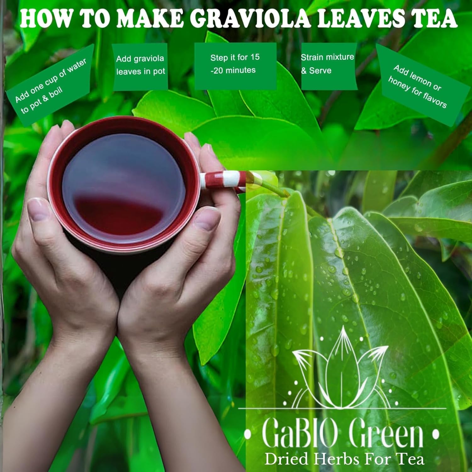 Gabio Green- Whole Soursop leaves (+1/2 Pound /8.1 oz) 670 + leaves aprox, Big Bag, Hojas de guanabana, tea Soursop, Dried Herbs,. (8.1 oz) 670 + leaves aprox.
