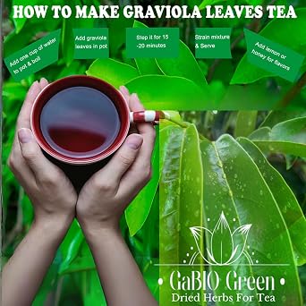 Soursop Graviola leaves Premium (+60 cups) +180 leaves aprox, Big Bag, Hojas de guanabana, tea Soursop, Whole Dried Herbs,. (3 oz)+180 leaves aprox. Gabio Green.