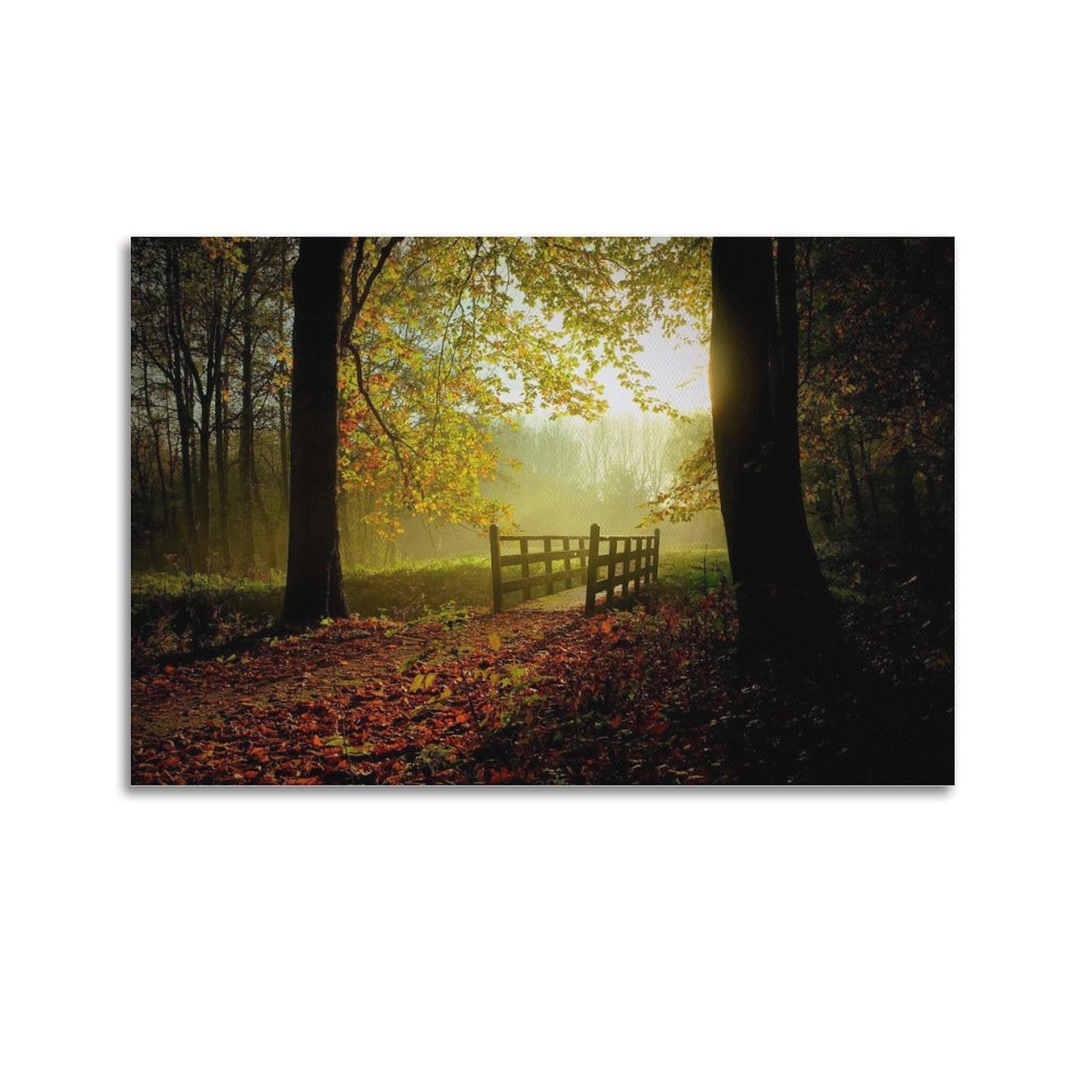 CXHJCA Mural Nature Poster Jungle Sunny Fall Day Nature Scenery Poster Decorative Painting Canvas Wall Posters And Art Picture Print Modern Family Bedroom Decor Posters 20x30inch(50x75cm)