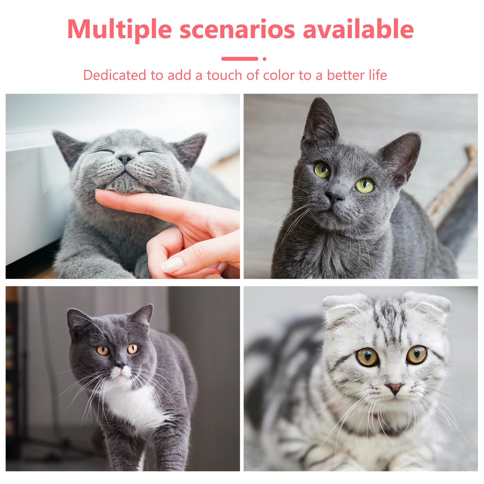 Mensole da Parete per Gatti 2 Pezzi in Legno Scala Robusta e Salvaspazio, Perfette per Casa o Negozio di Animali