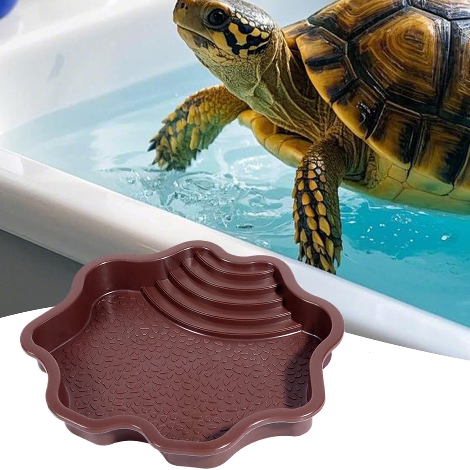 Plat à tremper pour reptiles, bol d'eau et nourriture avec marches pour tortue de piscine