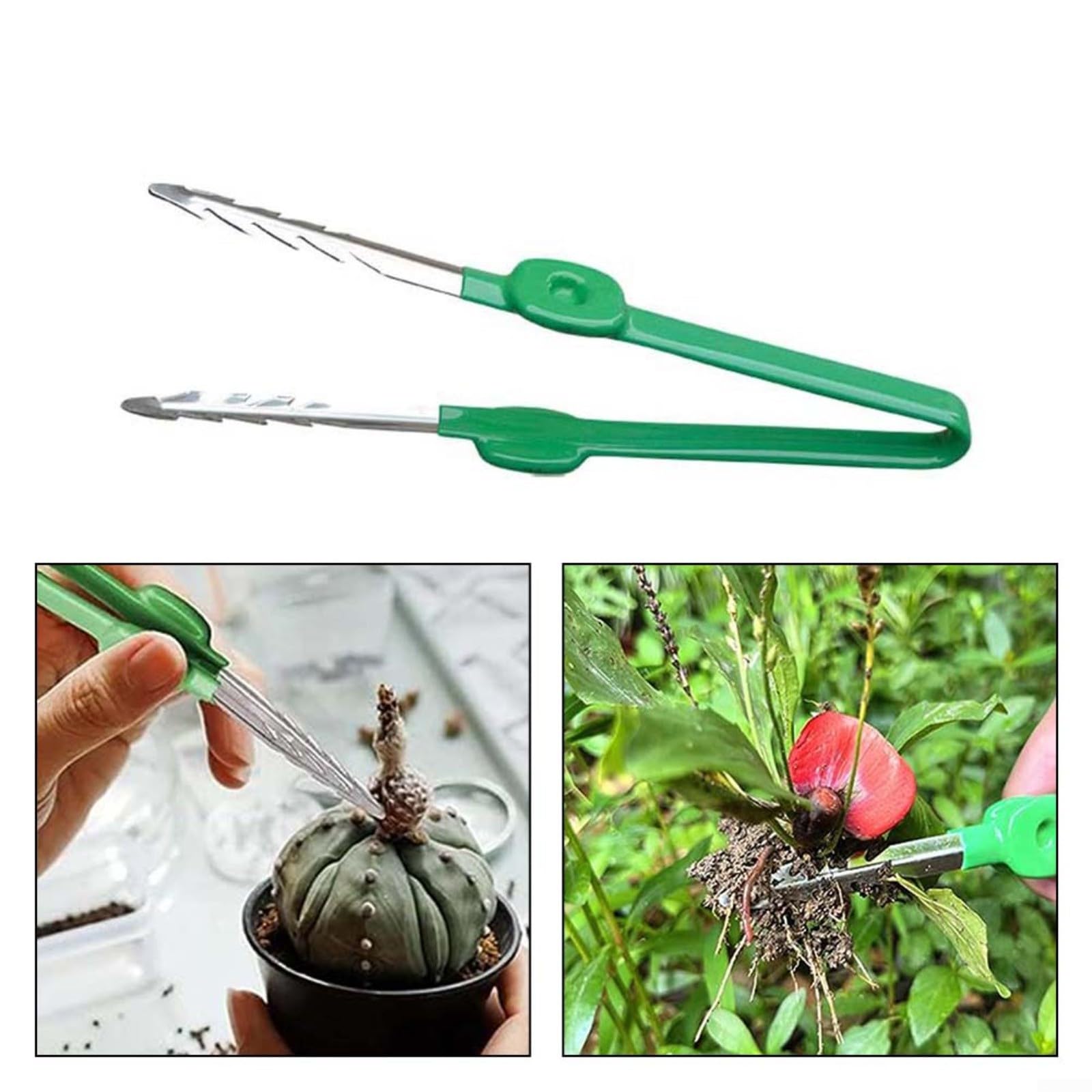 Pinzette per la cura delle piante grasse Clip portatile in acciaio inossidabile Strumento di giardinaggio multifunzionale per la manipolazione delle piante Lavoro accurato Uso educativo