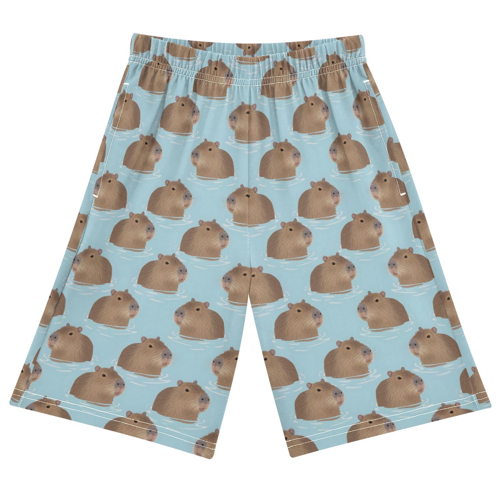 ALAZA Cute Capybara Youth Athletic Shorts for Boys and Girls Size 11-12 Years Multicolor