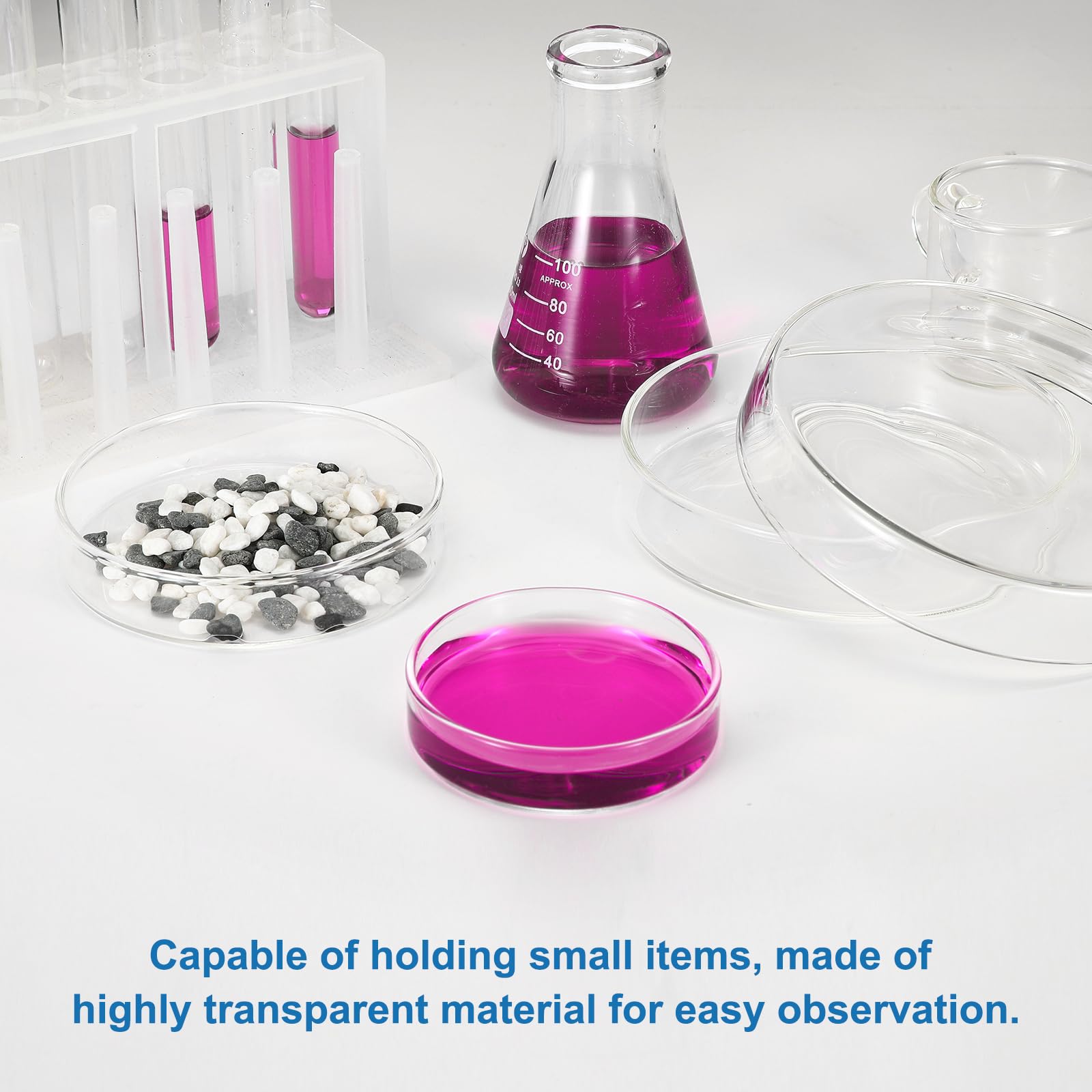 PATIKIL 12 Pezzi Vetreria Petri Con Coperchio, 120 mm Vetro Borosilicato Spesso Autoclavabile Piastre Coltura Laboratorio Etichette Per Esperimenti Scientifici Progetti Laboratorio