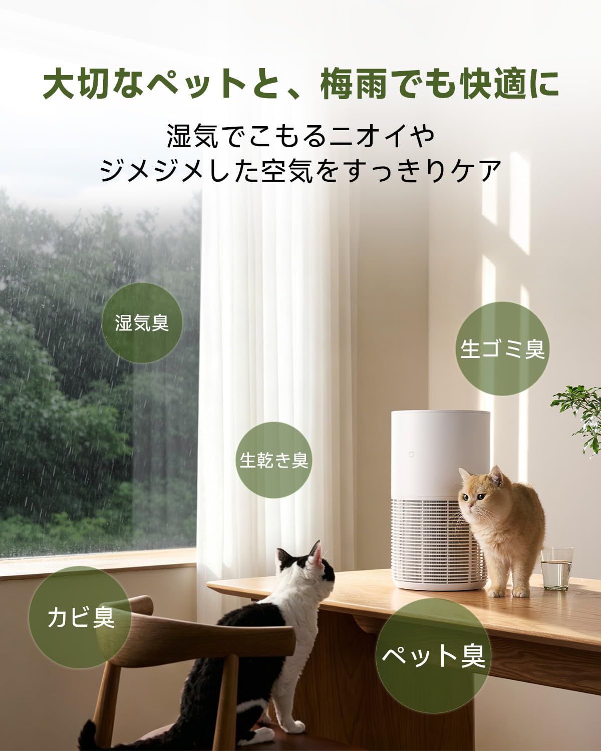 Amazon.co.jp: Xiaomi ペット用スマート空気清浄機 脱臭機 花粉対策
