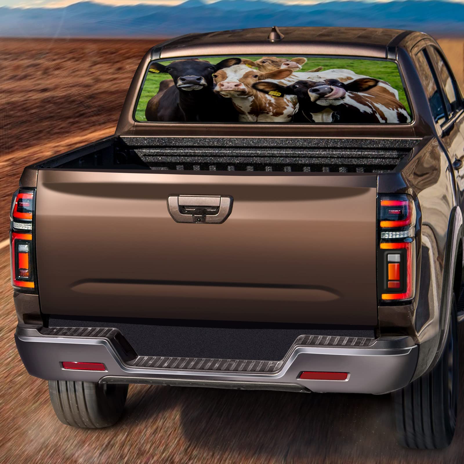 Adesivo Furgone PERSONALIZZATO – Mr Pubblicita - Foto 11