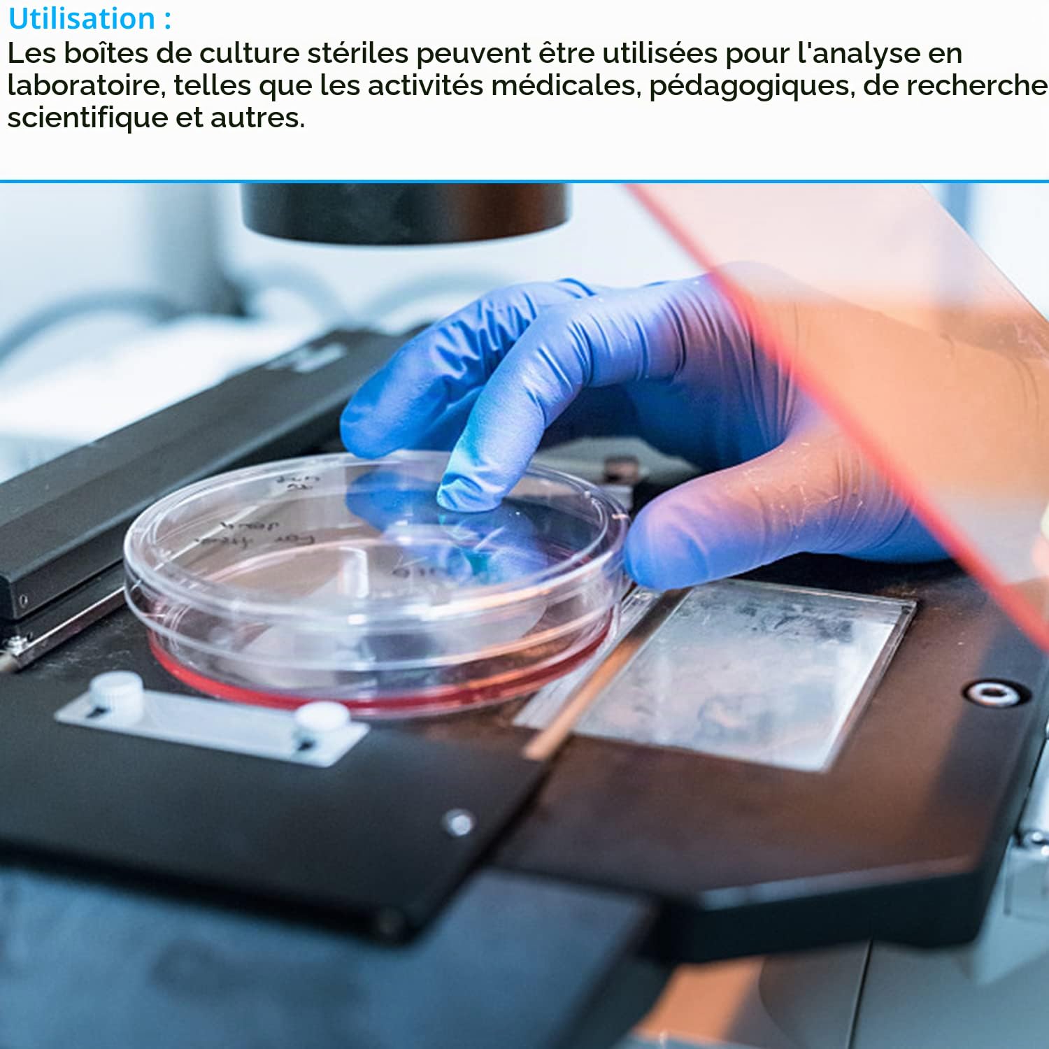 40 Pièces Pétri en Plastique, Boîte de Pétri Transparente Stérile avec 12 Pipettes de Transfert et 6 Pinces à épiler, pour Tissus Cellulairesde Culture