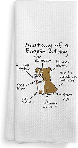 NOQL Toallas de cocina y paños de cocina de bulldog inglés, regalos de bulldog inglés, decoración de bulldog inglés, regalos para dueños de perros,