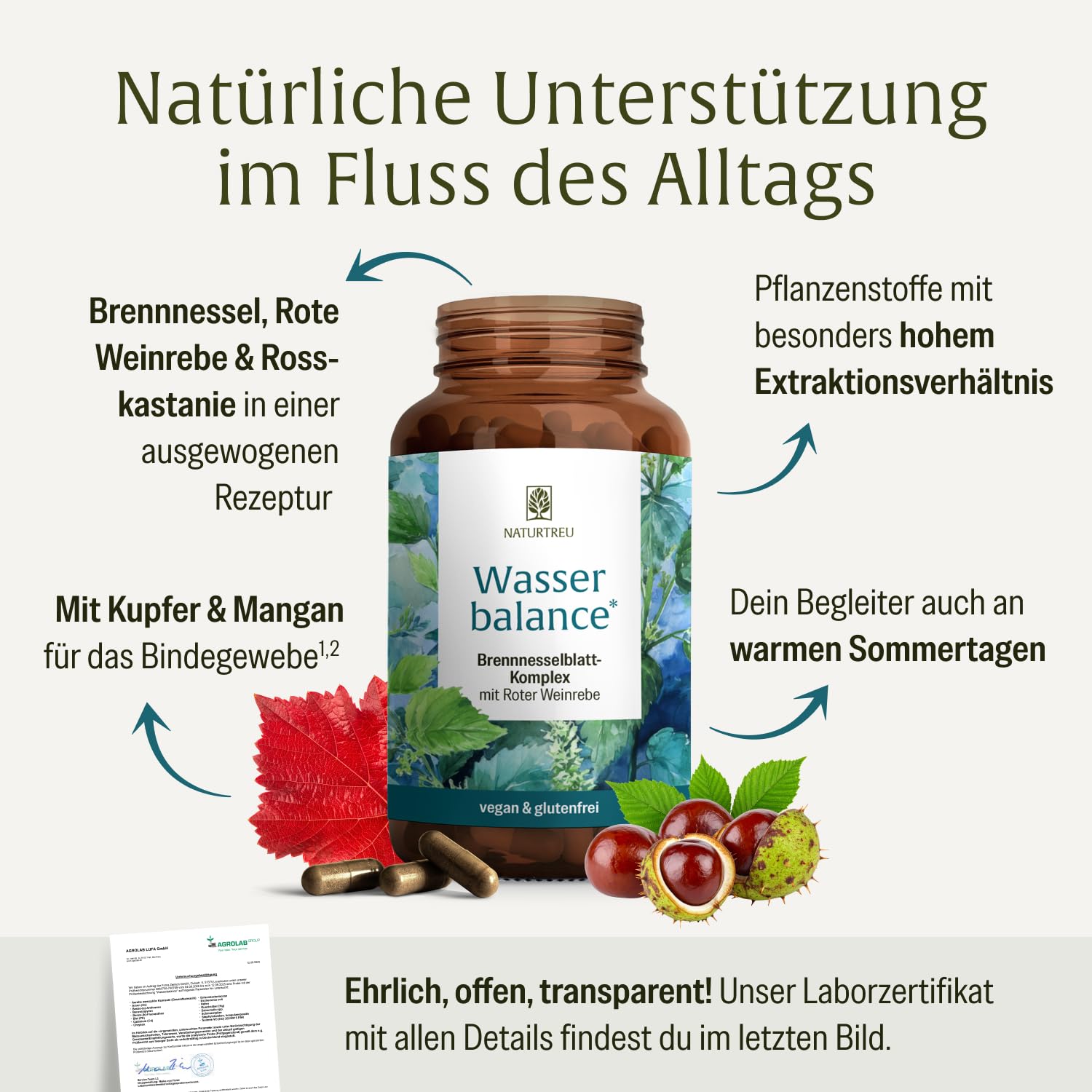 NATURTREU® Brennnessel Kapseln Komplex mit Rosskastanienextrakt und roter Weinlaub Vegan und ohne chemische starke Entwässerungstabletten 90 Wassertabletten