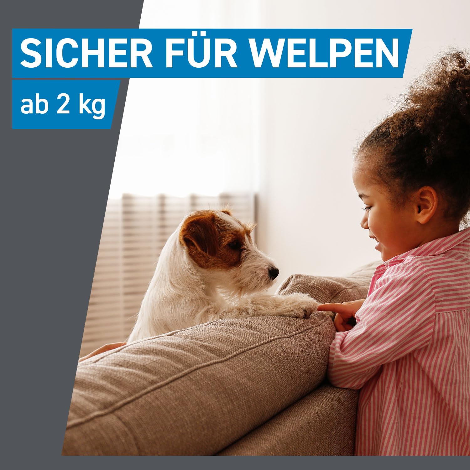 FRONTLINE Spot ON Hund L gegen Zecken, Flöhe & Haarlinge (20 bis 40 kg) | 6+3 Pipetten (2er Pack) für bis zu 9 Monate Schutz - einfache Anwendung, gute Verträglichkeit - wasserfest - für große Hunde