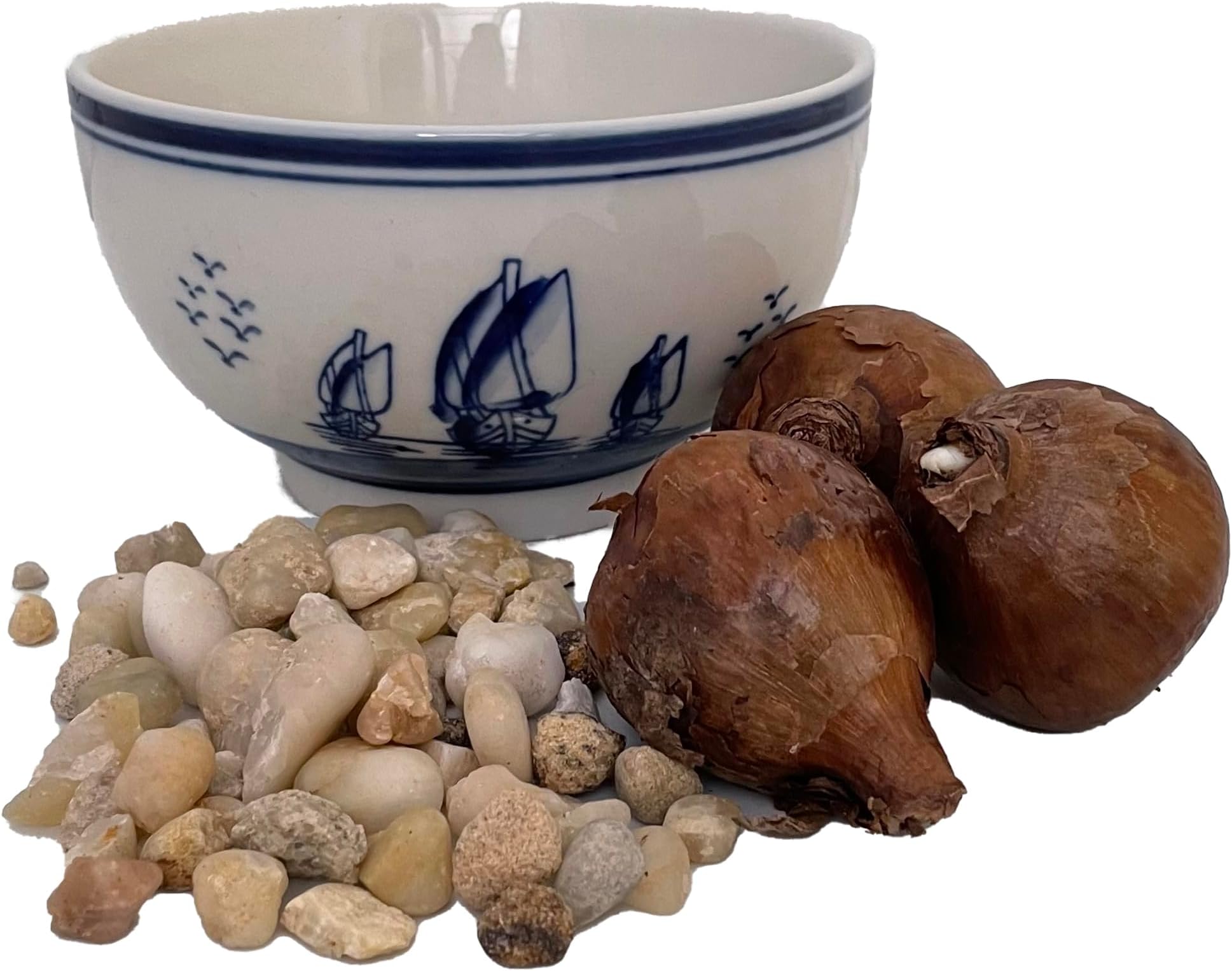 Delft Ceramic Bowl with Paperwhite Narcissus Bulbs Indoor Growing Kit - Fragrant