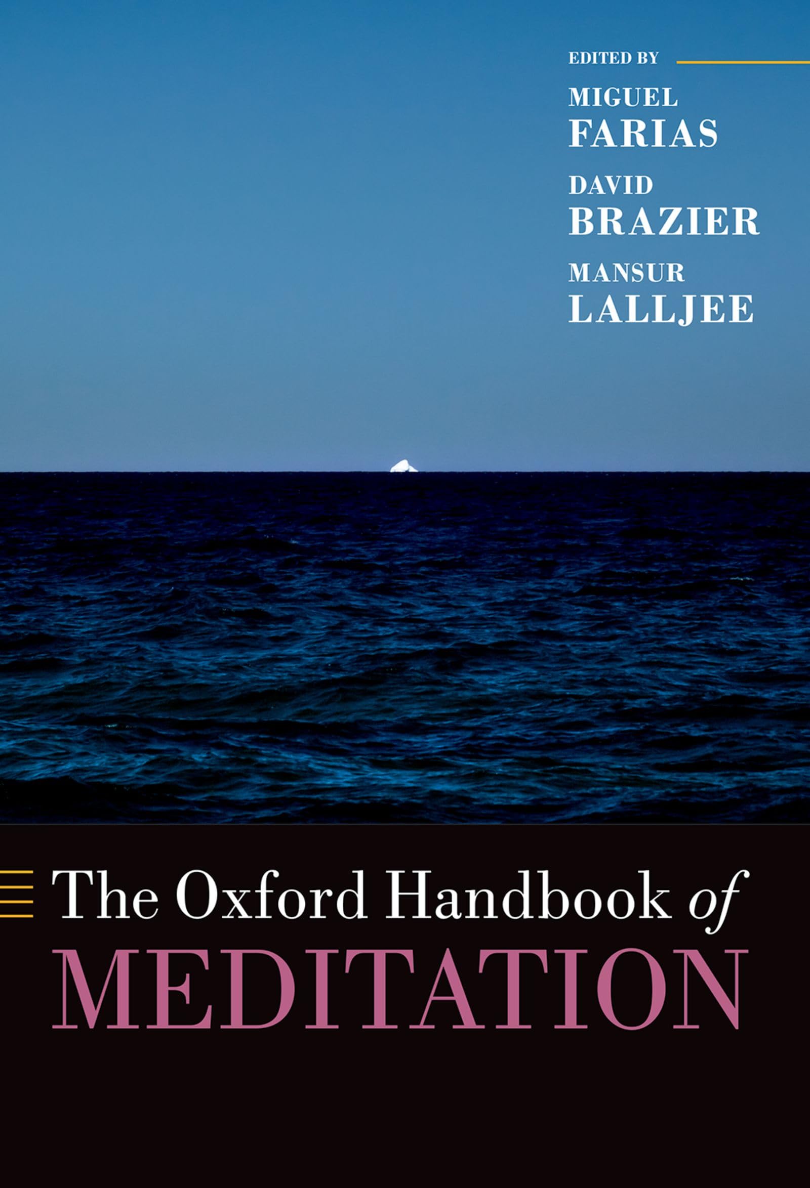 The Oxford Handbook of Meditation (Oxford Library of Psychology)