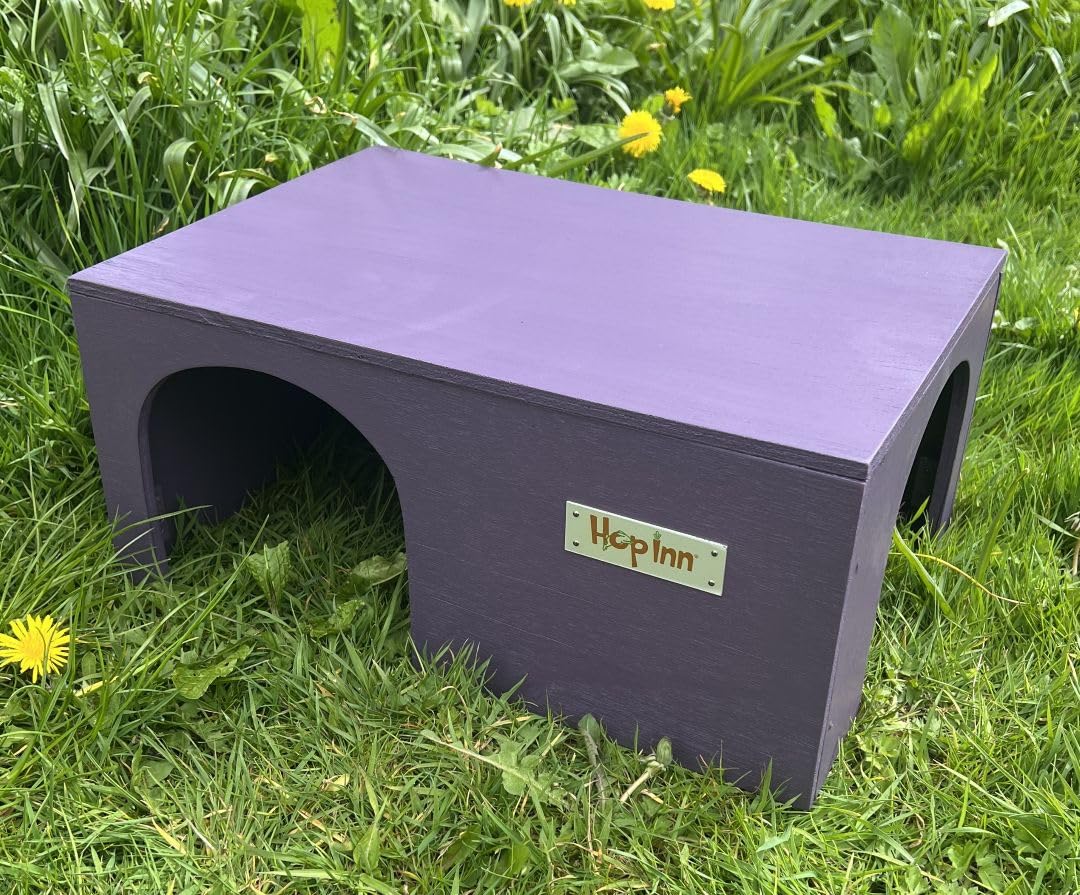 Hop Inn Guinea Pig House Extra Large Two Exits Indoor Outdoor (Czar Plum)