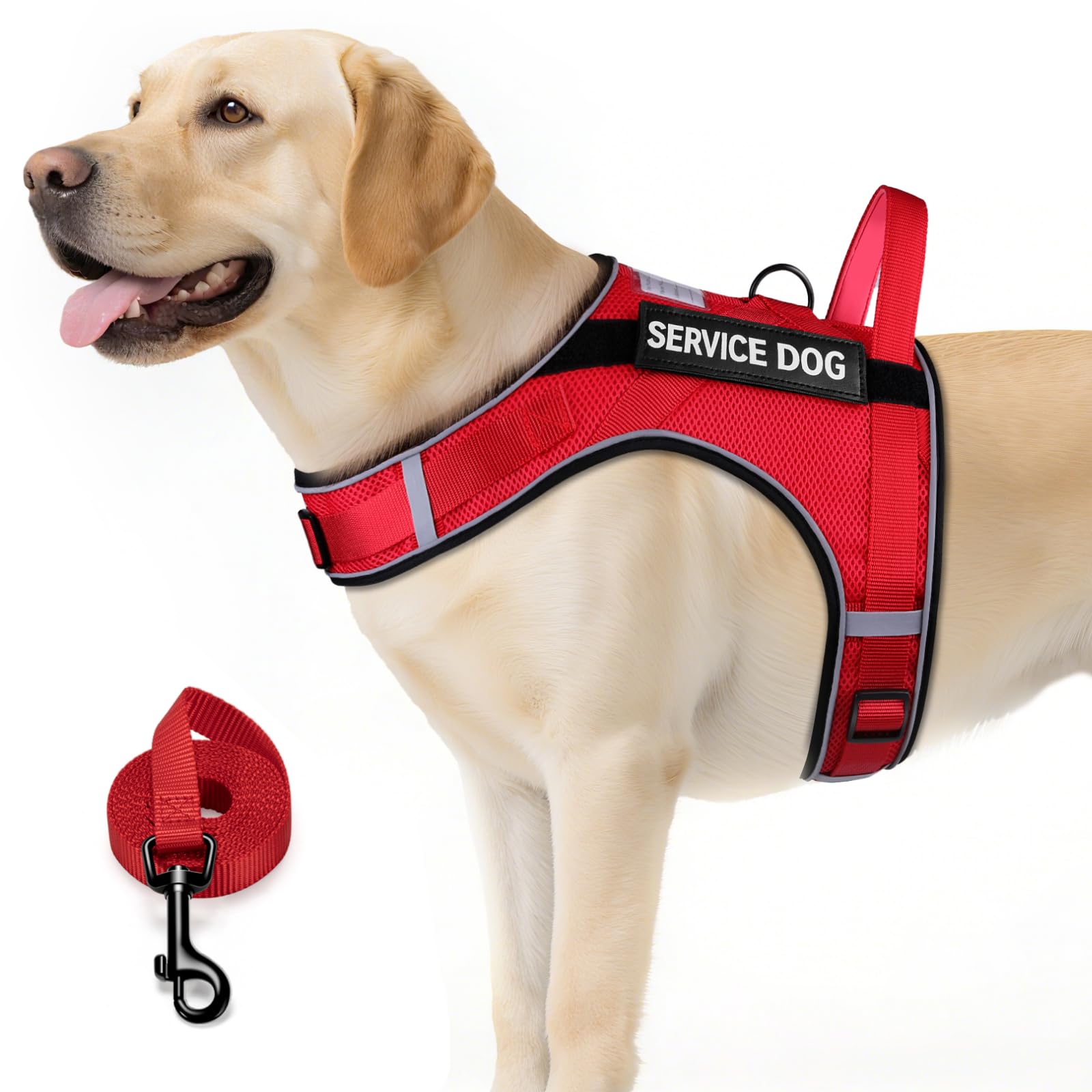 FAYOGOO Service Dog Vest for Large Dogs - Air Mesh Breathble Emotional Support Animal Vest with DIY Removable Patches - Dog Harness and Leash Set Adjustable Neck and Chest(Red,XL)