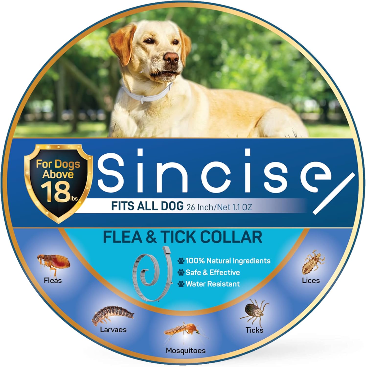 The 11 Best Flea Collars For Dogs