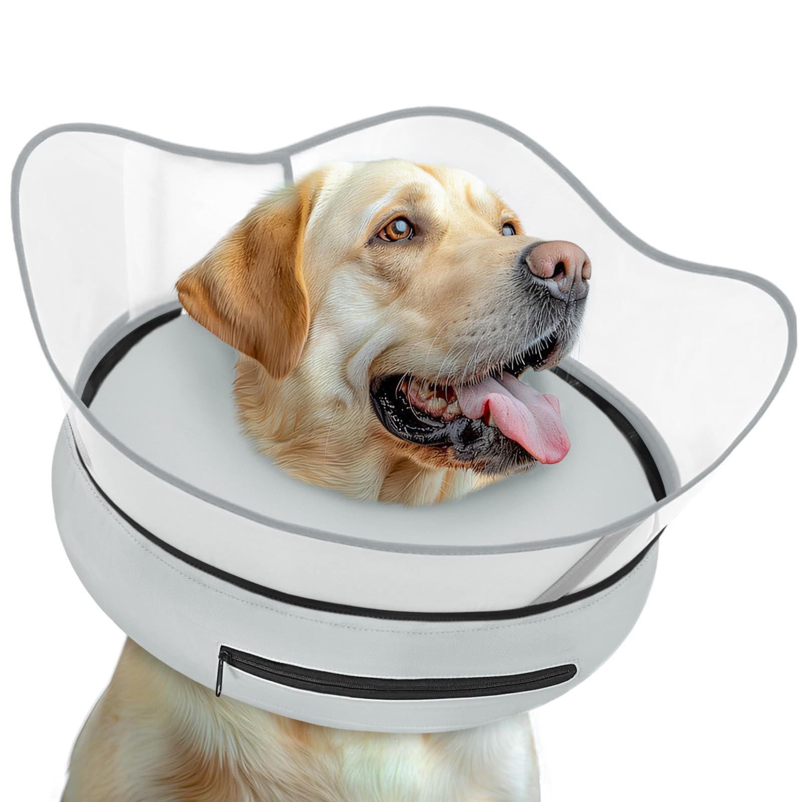 Photo 1 of Toptakeit Inflatable Dog Cone Collar Alternative - L
