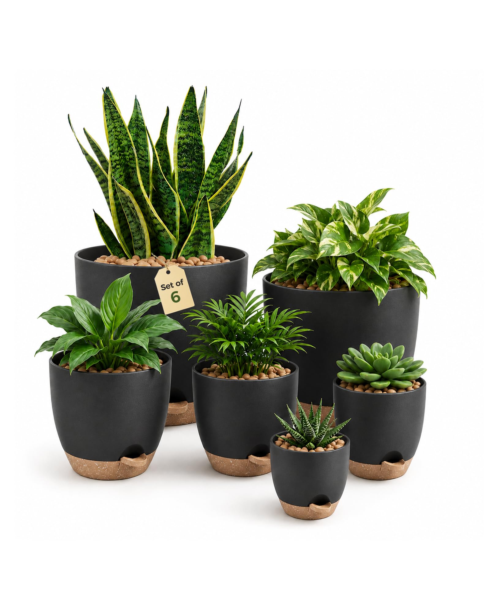 Bamworld Pot de Plantes d'Intérieur avec Drainage 6 Pcs Pots en Plastique Auto-irrigants 12.7cm/14cm/15.2cm/16.5cm/17.8cm/20.3cm pour Plantes d'Intérieur, Fleurs, Cactus
