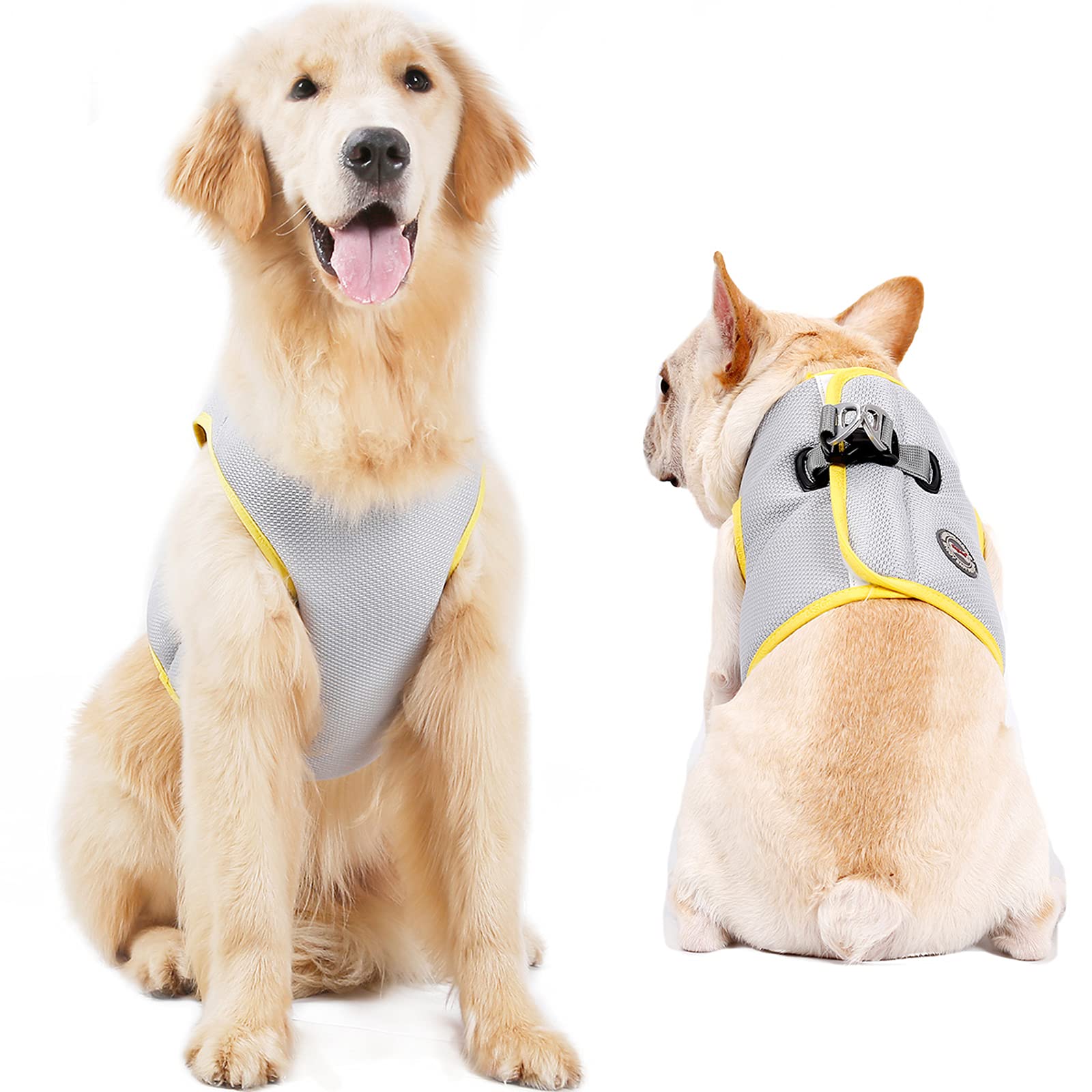 Hund Kühlgeschirr Sommer Mesh Verstellbar Hund Kühlweste Jacke Outdoor Sonnenfest Haustier Mäntel für Kleine Mittlere Große Hunde (M)